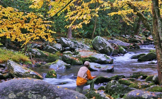 Fishing in the Little River above Elkmont.