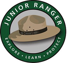 An illustration of a Junior Ranger hat.