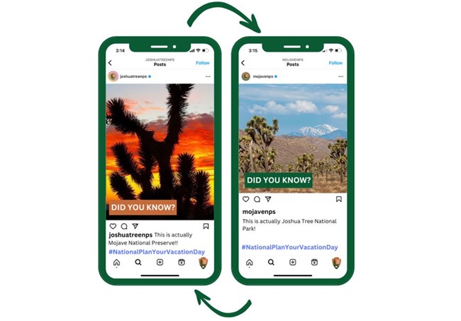 Screenshot of social media posts sharing information about joshua trees