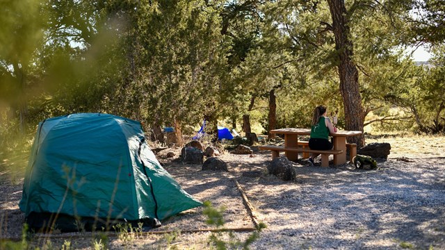 A tent set up under pine trees. A person sits at a picnic table.