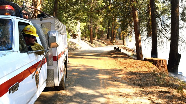 A firefighter patrols a prescribed burn.