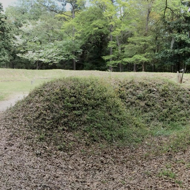 moss covered earthenworks