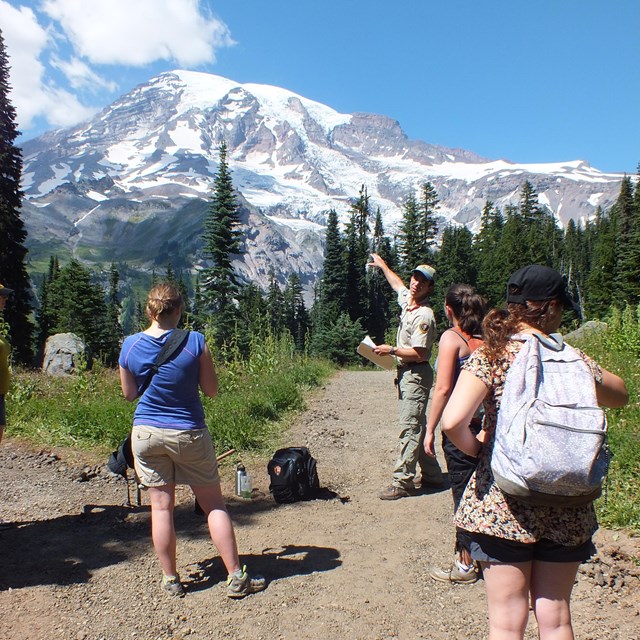 visitors looking toward mount rainier