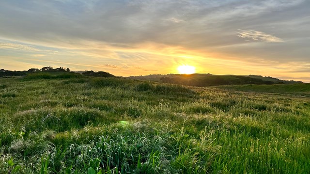 Tall grass on top of Mt. Wanda at sunset