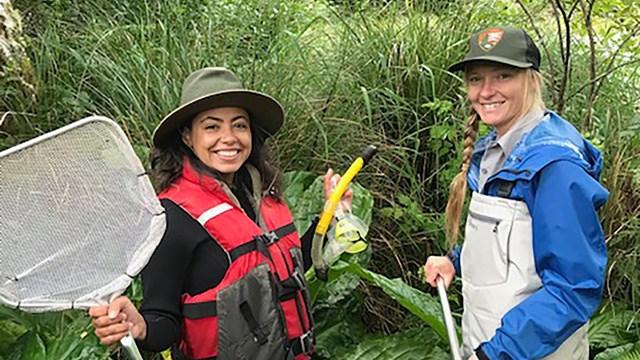 Two park employees standing among tall wetland plants. They each wear waders with lifevests and nets