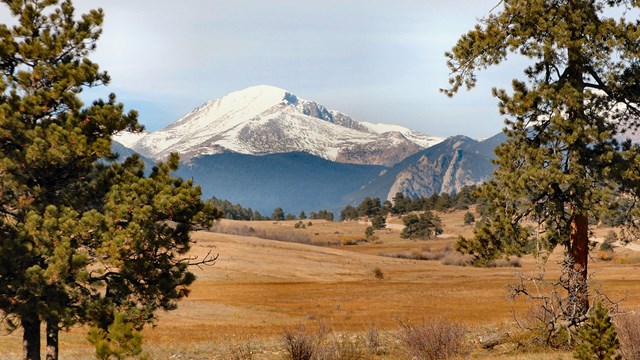 Scenic view with a mountain in the background and rolling hills and trees in the foreground.