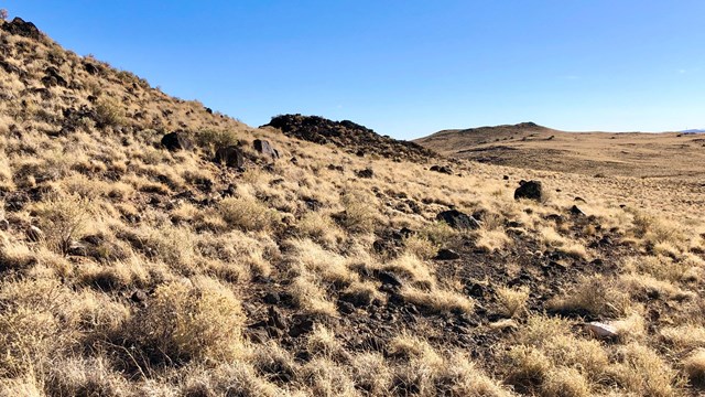 A series of cinder cone volcanoes.