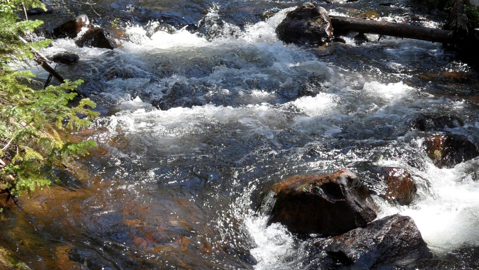 Rocky Mountain National Park River