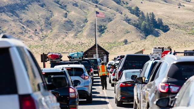 cars backed up at a park entrance