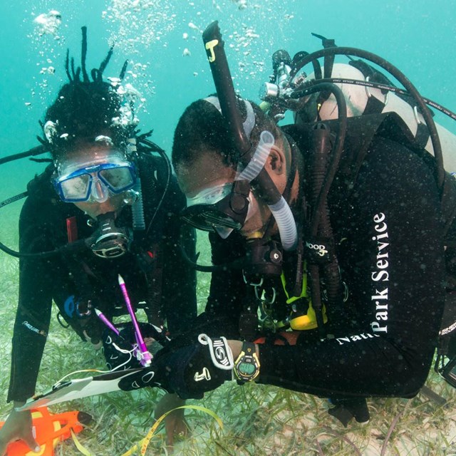 NPS Underwater on Vimeo