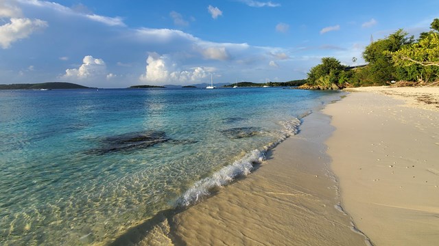 A turquoise wave rolls gently into a white sand beach