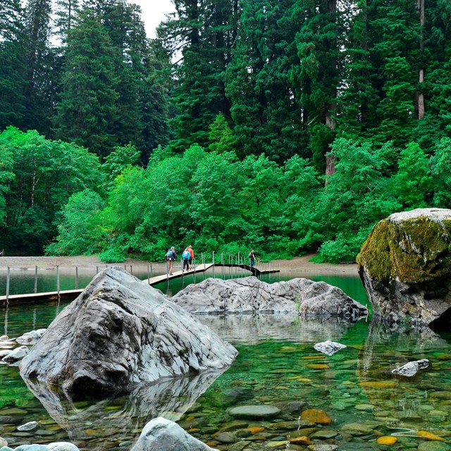 Trees more than 360 foot tall get all the fame - but discover for yourself the redwood coast. 