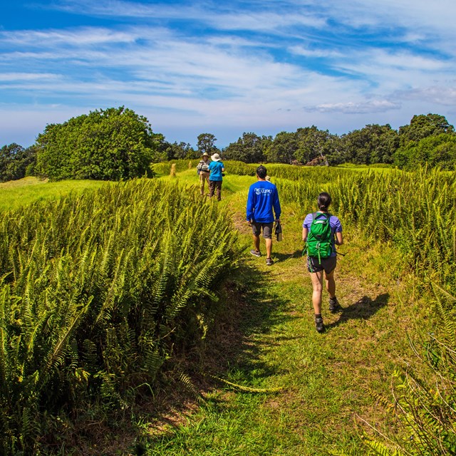 Hikers walking through grass with park ranger