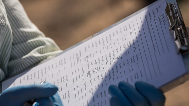 Two hands filling out information on a clipboard