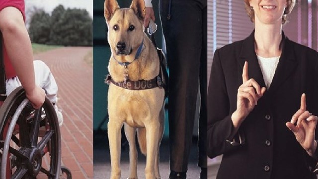 Wheel chair and service dog. 