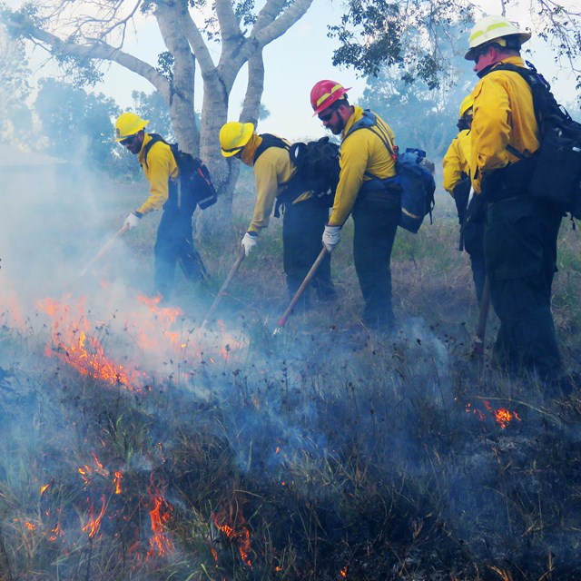 Firefighters work to establish contain the spread of a fire. 