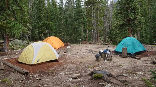 Three tents are set up in a designated wilderness campsite