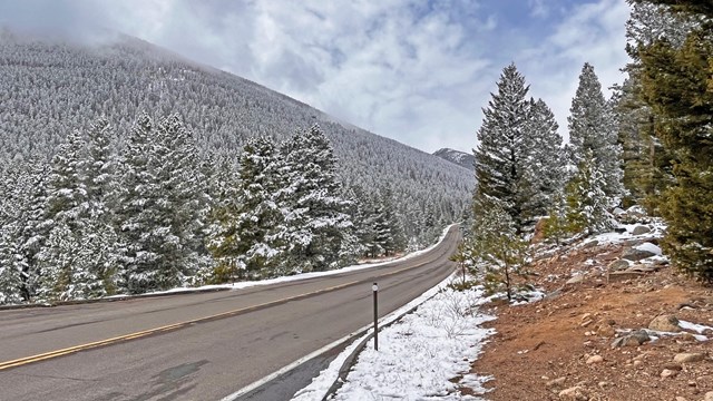 The surface of a park road is clear of snow, snow lines the road and trees are dusted with snow 