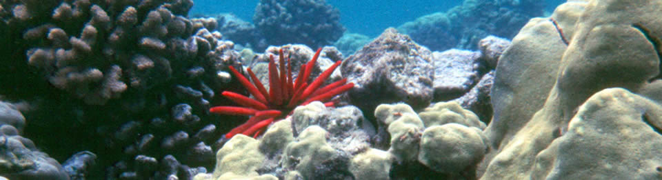 National Park of American Samoa