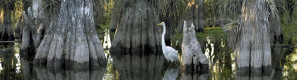 Everglades National Park