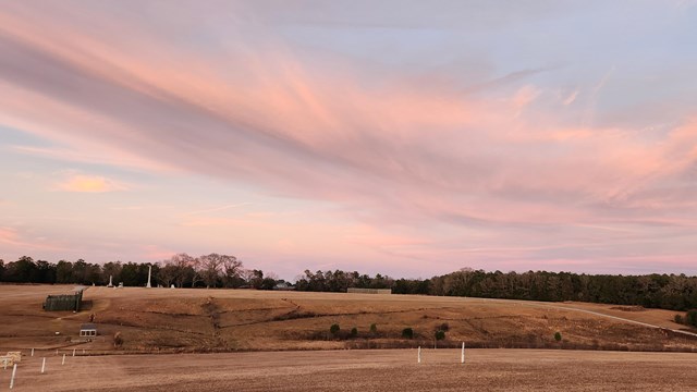 A large open field with white posts marking the boundary. In the distance is a line of trees.