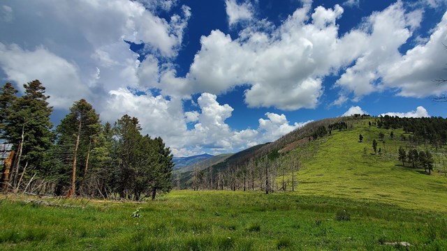 summer view of Cerro Grande