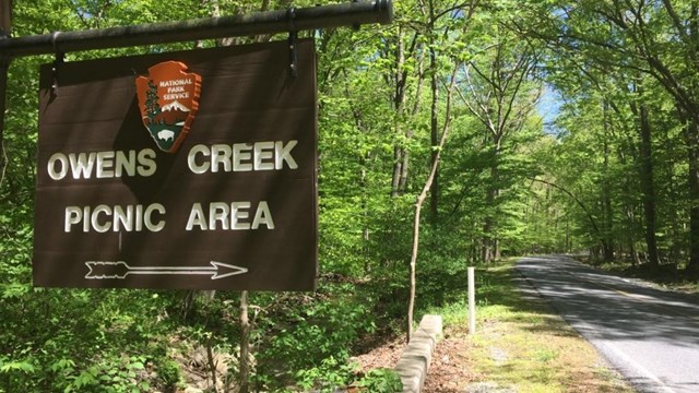 Picnicking at Catoctin Mountain Park