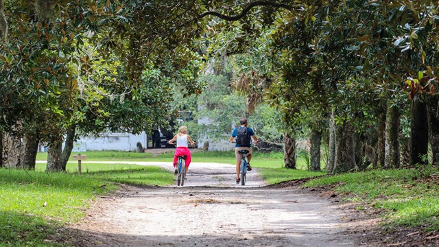 a couple riding bikes down the road