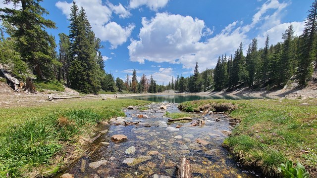 A flowing stream filled with rocks joined by green, grass covered banks leads into Teresa Lake.