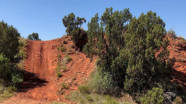 A brown NPS sign at the entrance of Rosita with green cottonwoods on a sunny day. 