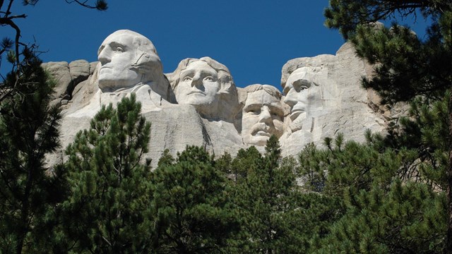 Photo of Mount Rushmore framed by ponderosa pine trees under a blue sky.