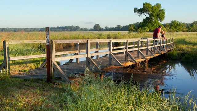 two people on a wooden foot bridge looking down at the water below.