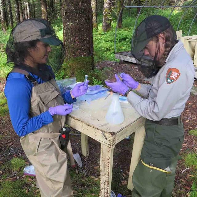 Park biologists collect and analyze water samples.