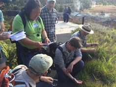 BioBlitz participants at the 2015 BioBlitz at Hawai'i Volcanoes National Park