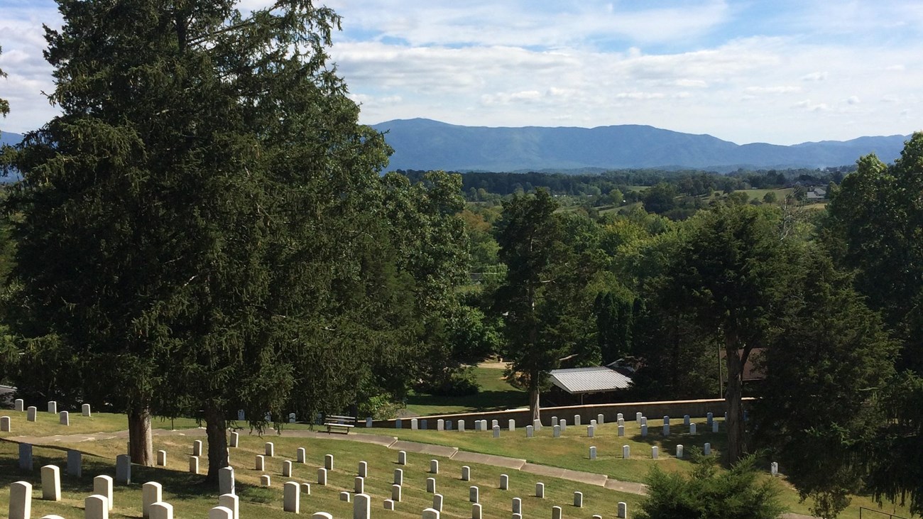 Find a Veteran Grave