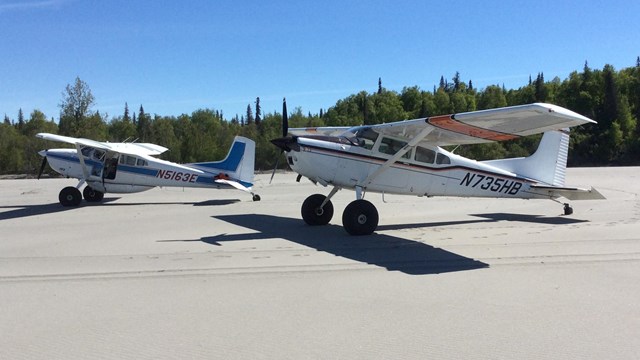 Two airplanes with large wheels sit on a beach in front of several trees