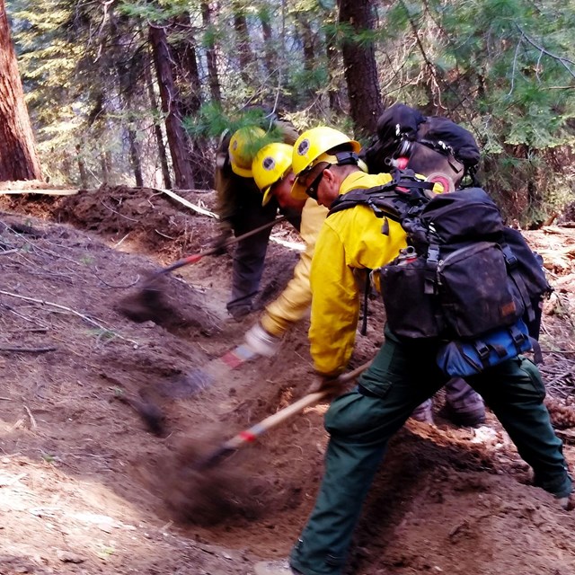 Firefighters create fireline in a national park.