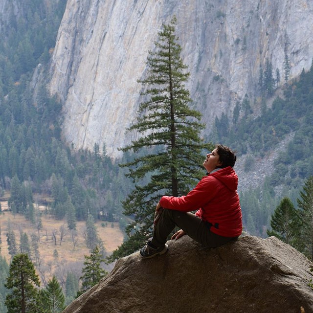 person looking at yosemite valley