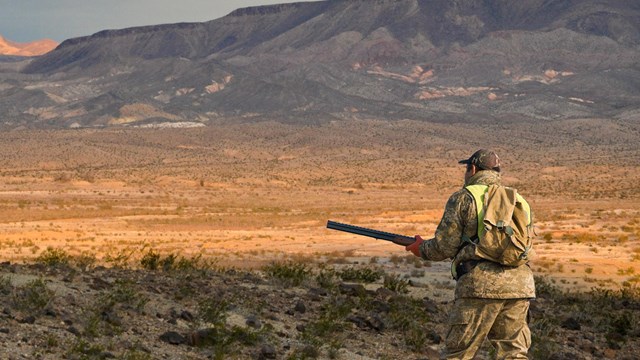 A hunter in camouflage in the desert.