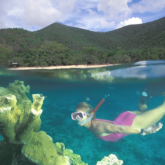 Scuba diver under water. 