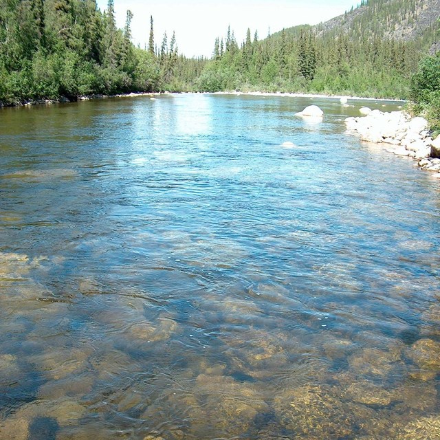 Rocks on the Charley River