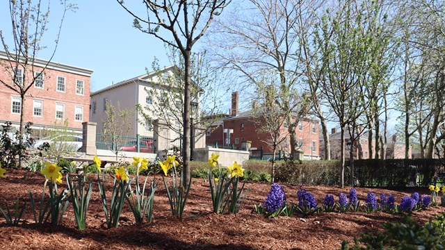 A view of the historic well and homes behind it.