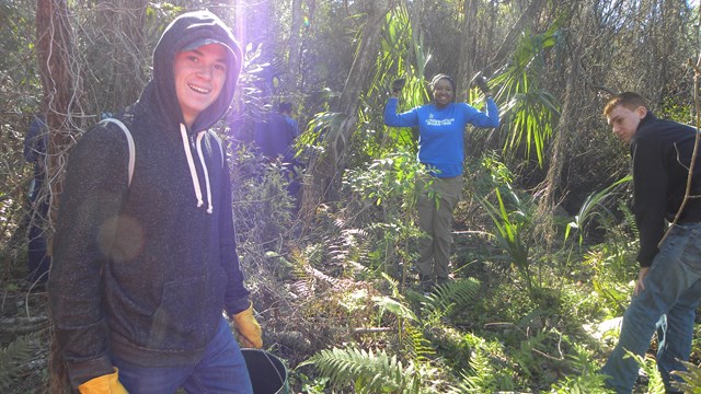 volunteers gather invasive plants