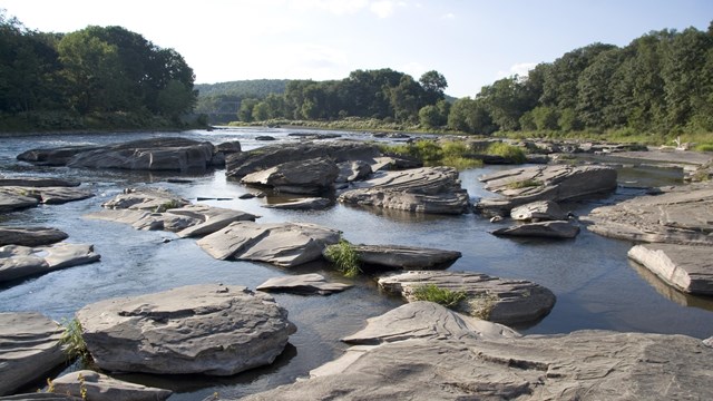 Natural Features & Ecosystems