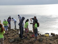 Citizen scientists at the 2010 Bioblitz at Biscayne National Park