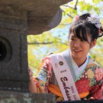 Cherry Blossom Queen lighting the lantern