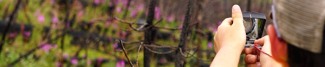 A woman in a baseball cap holds a compass in front of her face while she looks at a blurred landscape with burned tree stems, green vegetation, and purple wildflowers. Her back is to the camera.