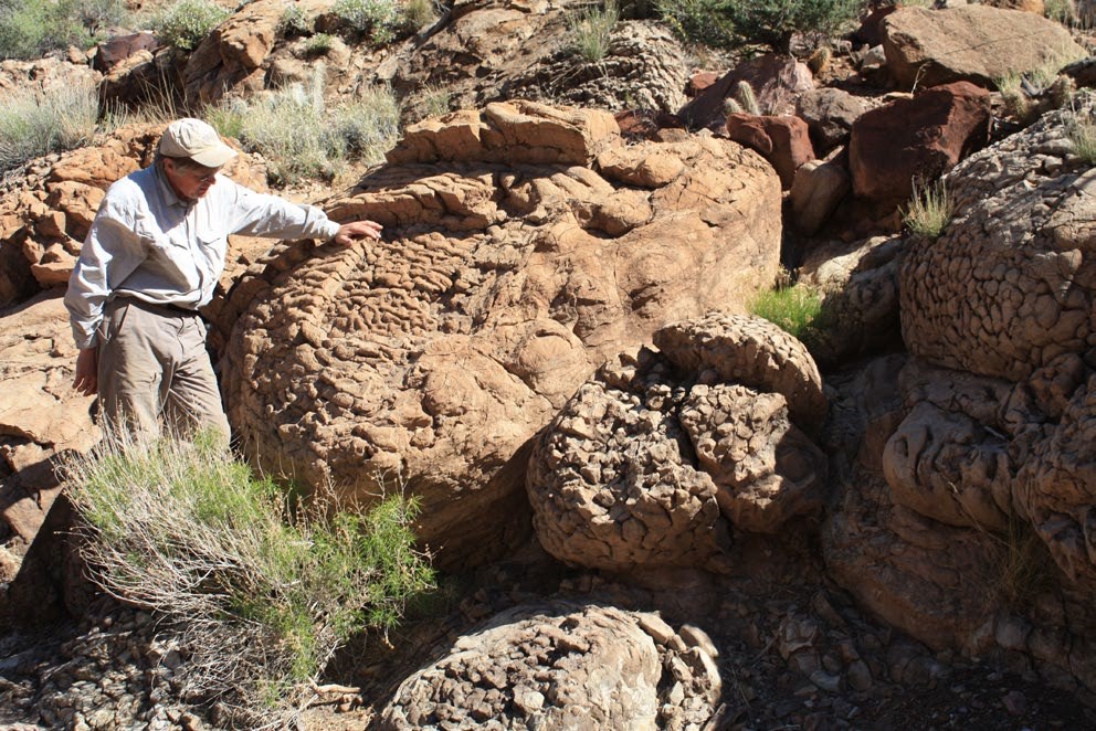 Photo of a man standing next to a boulder.