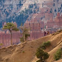 Two hikers descend down a trail from right to left with red rock formations in the background