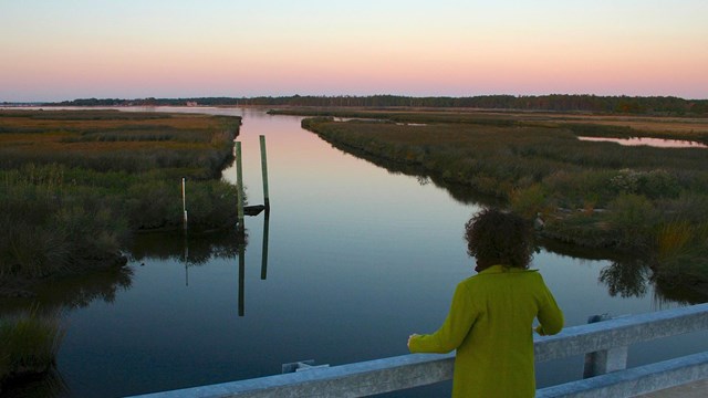 a visitor looks out over a wetland landscape in the early evening